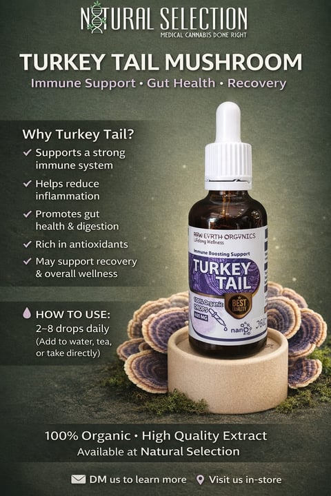 Turkey Tail Mushroom liquid extract bottle by Natural Selection with health benefits listed, displayed on a decorative mushroom base